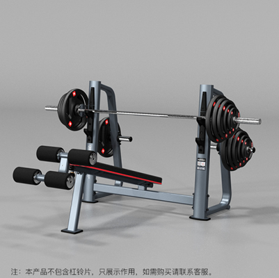 DISCOVER G3006奥林匹克下斜练习椅