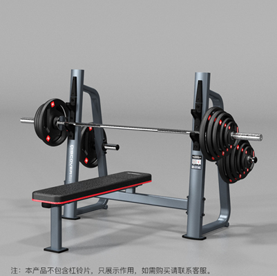 DISCOVER G3004奥林匹克水平练习椅