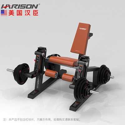 DISCOVER G1211踢腿训练器