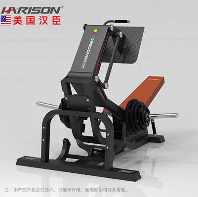 DISCOVER G1208蹬腿训练器