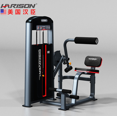 DISCOVER G1061 背部伸展训练器